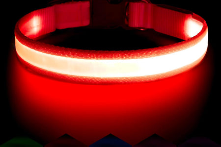 LED Dog Collar, Light up Dog Collar Adjustable USB Rechargeable Super Bright Safety Light Glowing Collars for Dogs