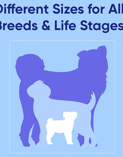 Load image into Gallery viewer, Dog Collar for Large Dogs Adjustable Dog Collar Heavy Duty Waterproof Collars for Dogs with Quick-Release Buckle - Green Dog Collar for Large Breeds
