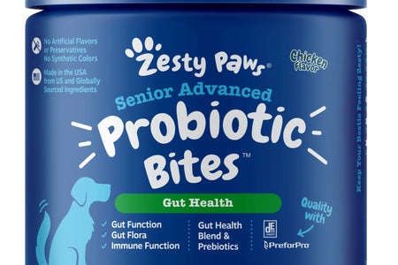 Senior Advanced Probiotic Bites for Dogs Chicken Flavor, 90 Count