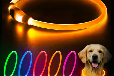 LED Dog Collar, USB Rechargeable Glowing Lighted up Collar, Cuttable Water-Resistant TPU Safety Collar Lights for Small Medium Large Dogs