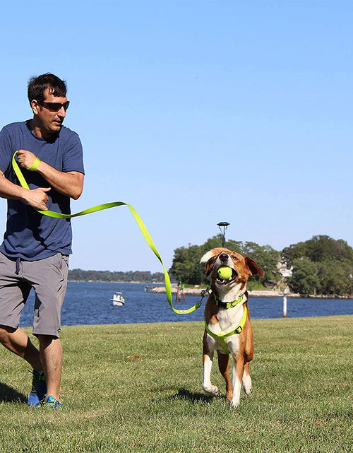 Load image into Gallery viewer, Dog Collar for Large Dogs Adjustable Dog Collar Heavy Duty Waterproof Collars for Dogs with Quick-Release Buckle - Green Dog Collar for Large Breeds
