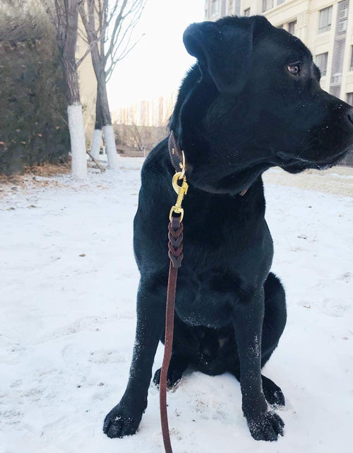 Load image into Gallery viewer, Leather Dog Collar, Genuine Heavy Duty Wide Dog Collar for Small,Medium,Large and Extra Large Dog (S: 0.8" Wide for 13.4"-15.8" Neck, Dual Stitch - Brown)
