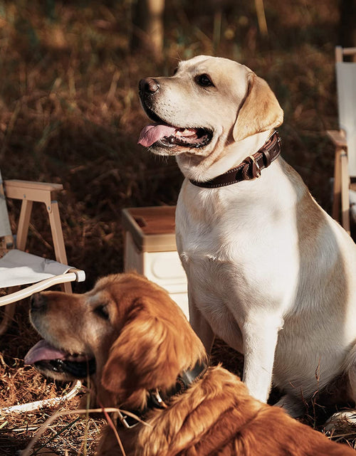 Load image into Gallery viewer, Leather Dog Collar, Genuine Heavy Duty Wide Dog Collar for Small,Medium,Large and Extra Large Dog (S: 0.8" Wide for 13.4"-15.8" Neck, Dual Stitch - Brown)
