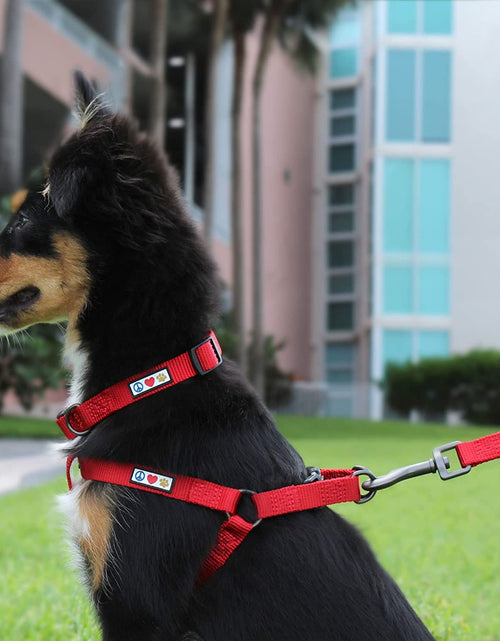 Load image into Gallery viewer, Dog Collar for Large Dogs Adjustable Dog Collar Heavy Duty Waterproof Collars for Dogs with Quick-Release Buckle - Green Dog Collar for Large Breeds
